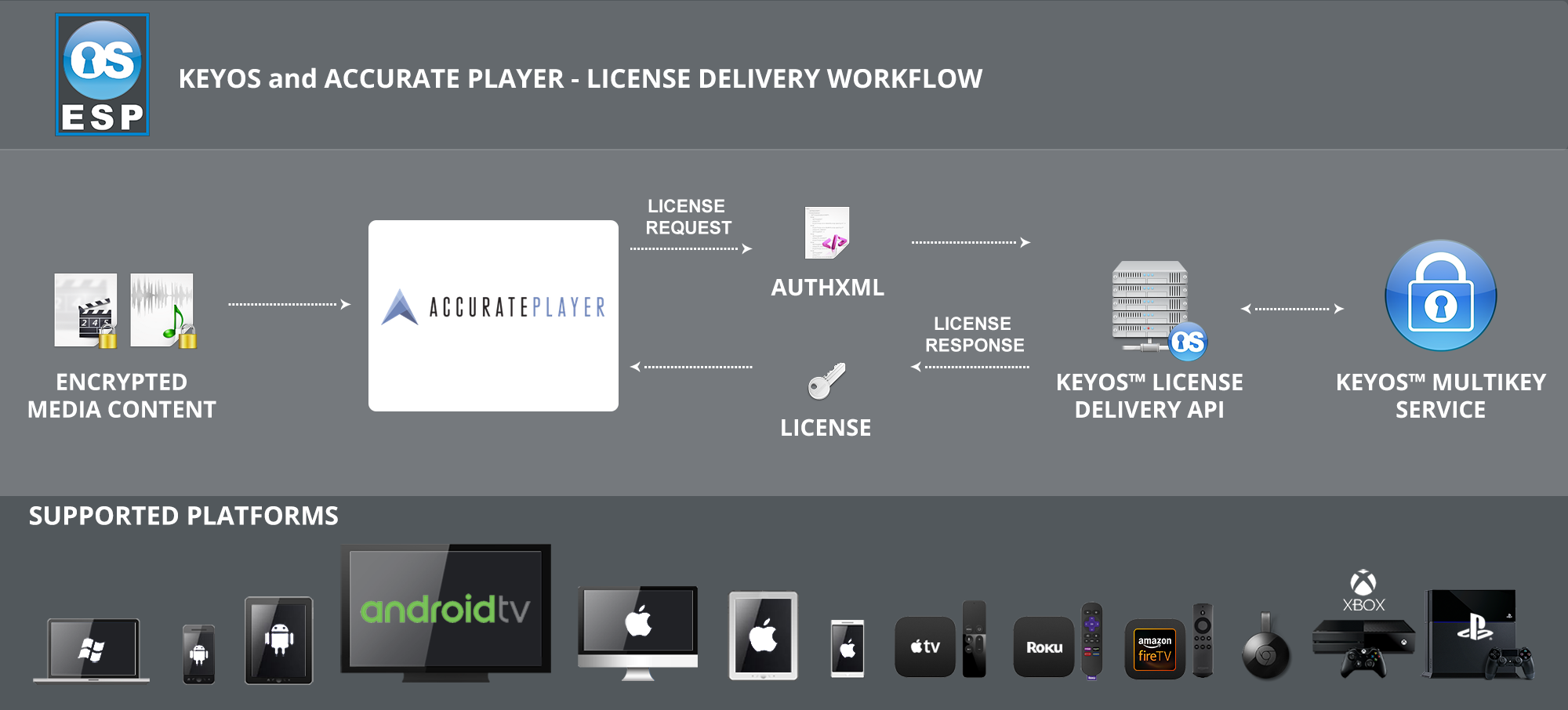 ESP Partner Spotlight Diagram_Accurate Player