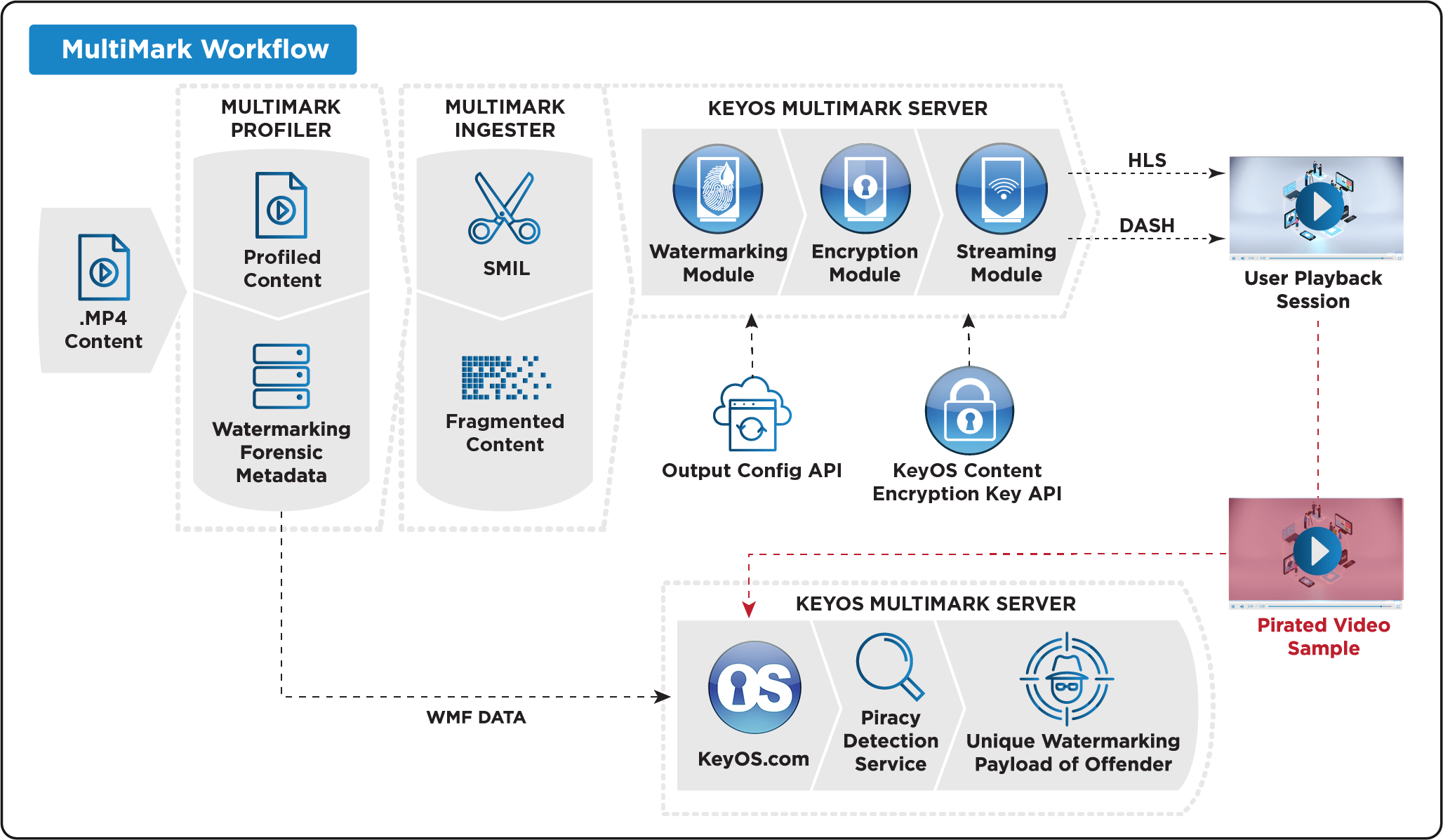 MultiMark Workflow updated