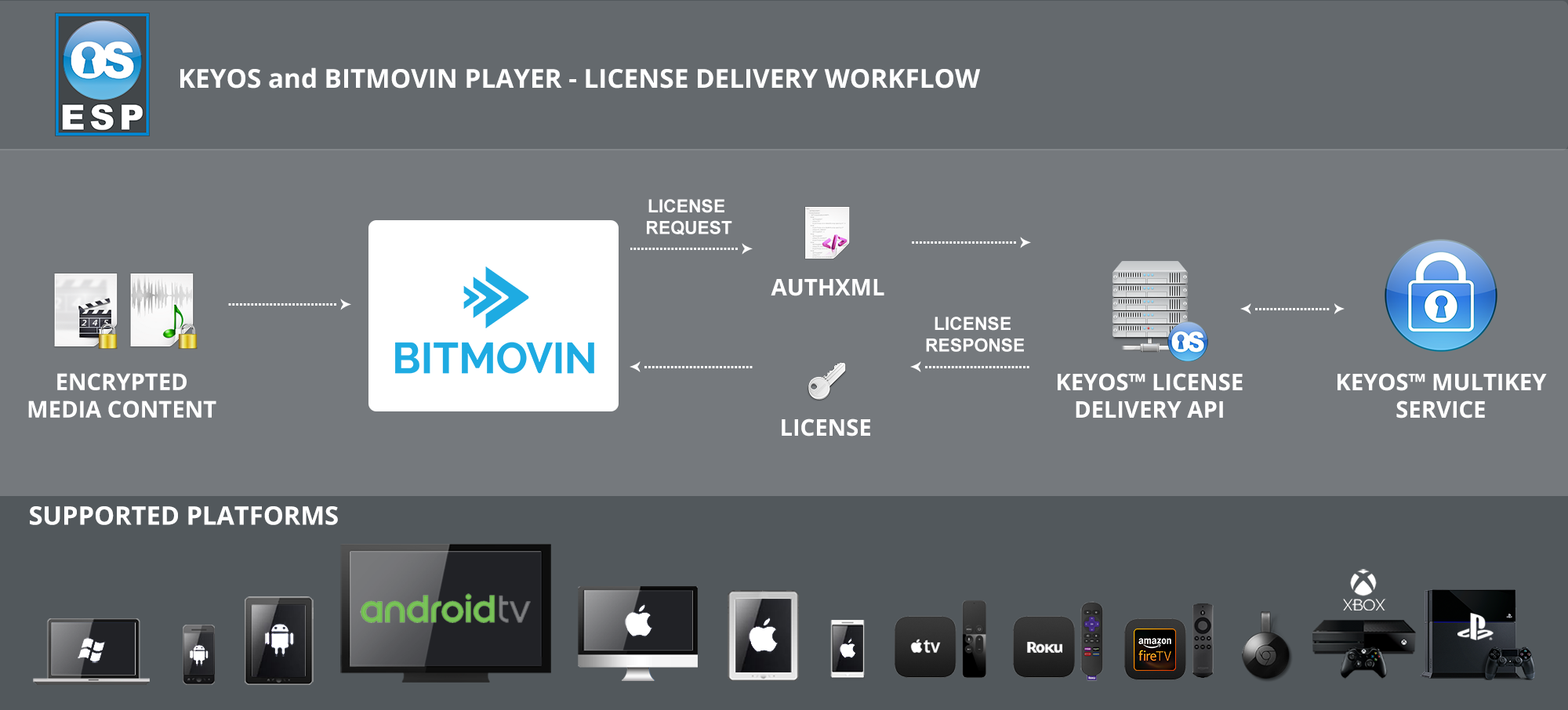 Multikey_license_Bitmovin_08092019-1