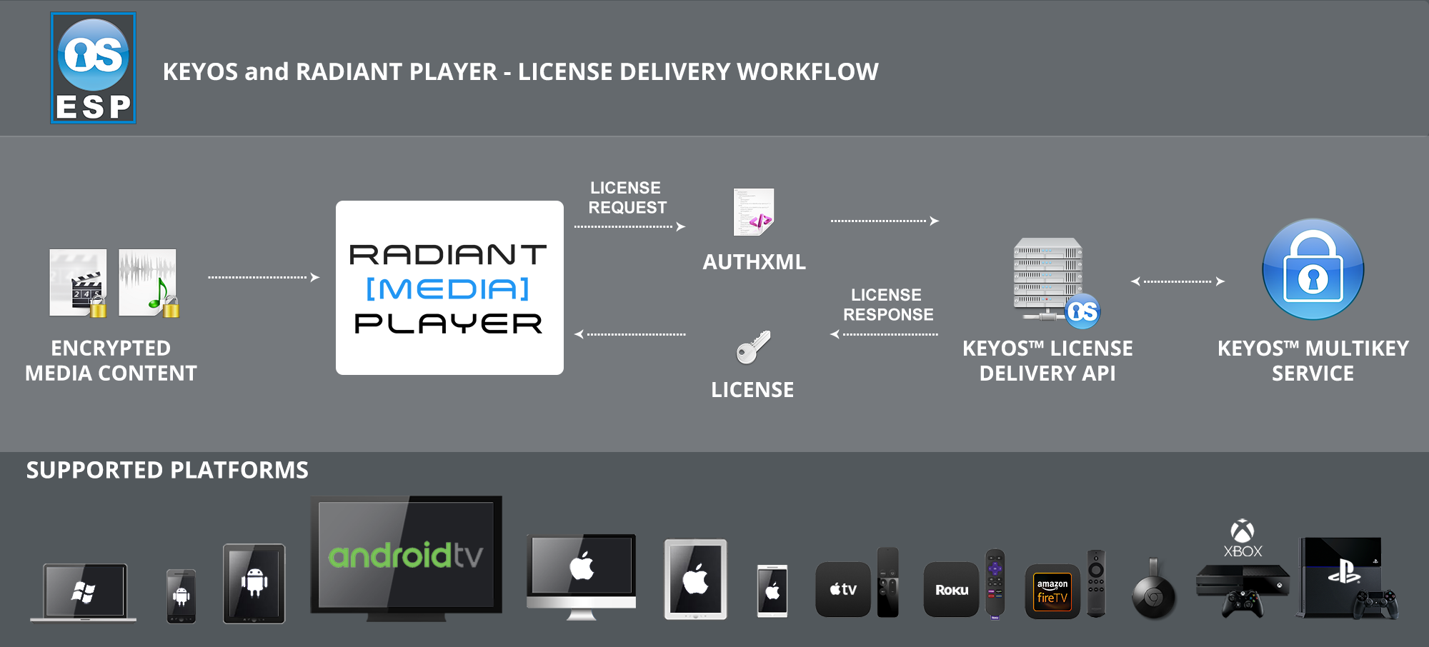 Multikey_license_RadiantPlayer_08022021