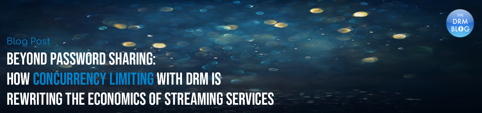 BuyDRM_BeyondPasswordSharing_1920x450